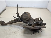  Ступица (кулак, цапфа) Toyota RAV 4 2000-2005 20299691 #1