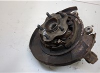  Ступица (кулак, цапфа) Nissan Murano 2002-2008 20299734 #2