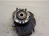  Ступица (кулак, цапфа) KIA Sorento 2002-2009 20299794 #1
