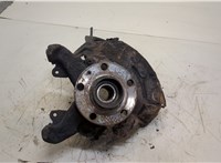  Ступица (кулак, цапфа) Skoda Fabia 2007-2010 20299821 #1