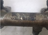 079133316 Форсунка топливная Audi S5 (8T) 2007-2016 20299903 #4