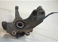  Кулак поворотный Ford Transit (Tourneo) Connect 2002-2013 11349114 #5