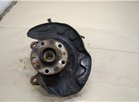 5WA407621, 5Q0407255Q Ступица (кулак, цапфа) Audi A3 (8V) 2016-2020 20299978 #1