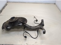  Ступица (кулак, цапфа) Audi A6 (C5) 1997-2004 20300079 #1