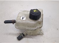  Бачок расширительный Nissan Qashqai 2006-2013 20300100 #1