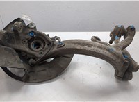 4E0407613C, 4E0407253Q Ступица (кулак, цапфа) Volkswagen Phaeton 2002-2010 20300202 #3