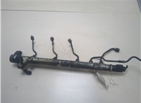 Рампа (рейка) топливная Mercedes Vito W639 2004-2013 20300246 #1