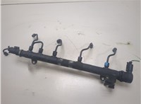  Рампа (рейка) топливная Mercedes Vito W639 2004-2013 20300246 #4