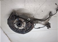 4B0407613B, 8E0407254E Ступица (кулак, цапфа) Audi A6 (C5) 1997-2005 20300505 #6