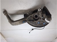 4B0407613B, 8E0407254E Ступица (кулак, цапфа) Audi A6 (C5) 1997-2005 20300505 #5