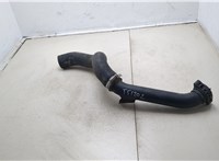 172835AA Патрубок интеркулера Honda Civic 2015-2021 20301175 #1