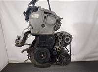  Двигатель (ДВС) Renault Megane 2 2002-2009 20301339 #1