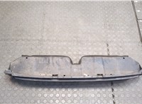  Заглушка (решетка) бампера Lexus CT 2010-2014 20301603 #2