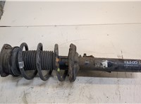  Амортизатор подвески Skoda Kodiaq 20301893 #1