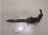  Форсунка топливная Citroen C4 Grand Picasso 2006-2013 20301926 #1