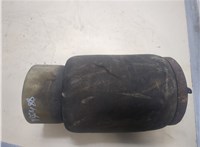  Пневмоподушка BMW X5 E53 2000-2007 20301954 #1