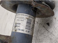  Амортизатор подвески BMW X5 E53 2000-2007 20301996 #4