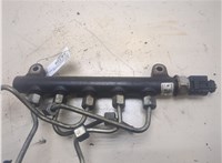  Рампа (рейка) топливная Chevrolet Captiva 2011-2016 20302093 #3