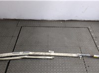  Подушка безопасности боковая (шторка) Bentley Continental GT 2003-2011 20302102 #1