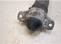  Амортизатор подвески Skoda Kodiaq 20302324 #3