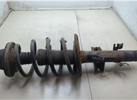 7H0413031N, 7E0411105A Амортизатор подвески Volkswagen Transporter 5 2003-2015 20302562 #4