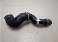  Патрубок интеркулера Ford Focus 2 2005-2008 20302631 #3