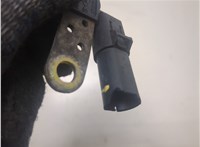  Датчик положения коленвала Renault Megane 2 2002-2009 20302918 #3
