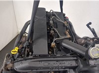  Двигатель (ДВС) Ford Transit 2000-2006 20303007 #5
