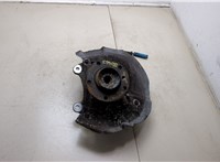  Ступица (кулак, цапфа) BMW 5 E60 2003-2009 20303111 #1