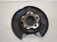  Ступица (кулак, цапфа) Nissan Leaf 2010-2017 20303396 #1