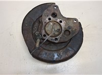  Ступица (кулак, цапфа) Nissan Leaf 2010-2017 20303396 #2