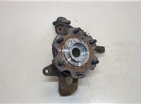  Ступица (кулак, цапфа) Mitsubishi Pajero / Montero 2000-2006 20303418 #1