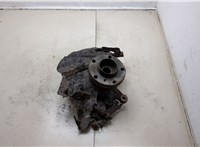  Ступица (кулак, цапфа) BMW X5 E53 2000-2007 20303609 #1