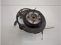  Ступица (кулак, цапфа) Infiniti QX56 2004-2010 20303868 #1