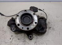  Ступица (кулак, цапфа) Volkswagen Crafter 2006-2016 20303933 #1