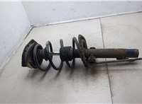  Амортизатор подвески Renault Megane 2 2002-2009 20304309 #1