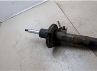  Амортизатор подвески Audi A3 (8P) 2004-2008 20304319 #1