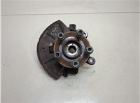  Ступица (кулак, цапфа) Ford Escape 2001-2006 20304430 #1