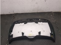 42752303, 95394650 Обшивка крышки (двери) багажника Buick Encore 2016- 20304556 #3