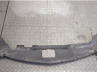  Пластик (обшивка) моторного отсека Chrysler Pacifica 2003-2008 20304774 #2