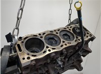  Блок цилиндров (Шорт блок) Ford S-Max 2006-2010 20304947 #10
