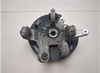 BB5Z1104A, DB5Z5B758B Ступица (кулак, цапфа) Ford Explorer 2015-2018 20305032 #6