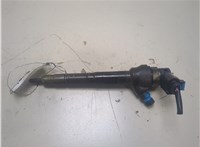  Форсунка топливная Skoda Yeti 2013-2018 20305669 #1