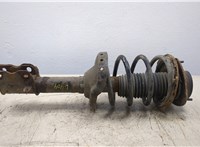  Амортизатор подвески Subaru Tribeca (B9) 2004-2007 20305787 #1