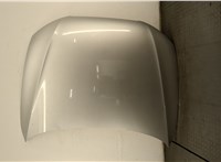  Форсунка омывателя стекла Audi A5 (8T) 2011-2017 11352396 #1
