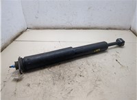  Амортизатор подвески Chrysler Pacifica 2003-2008 20305877 #3