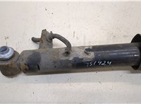  Амортизатор подвески BMW X5 E70 2007-2013 20306110 #3
