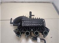 03F145749B Коллектор впускной Skoda Roomster 2010-2015 20306272 #3