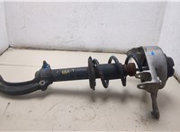 8T0413031AD, 8K0411105EA Амортизатор подвески Audi A5 (8T) 2007-2016 20306301 #6