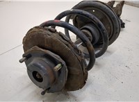  Амортизатор подвески Nissan Murano 2002-2008 20306309 #2